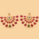 The Petals of Gulmohar