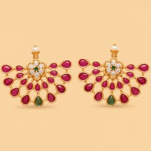 The Petals of Gulmohar